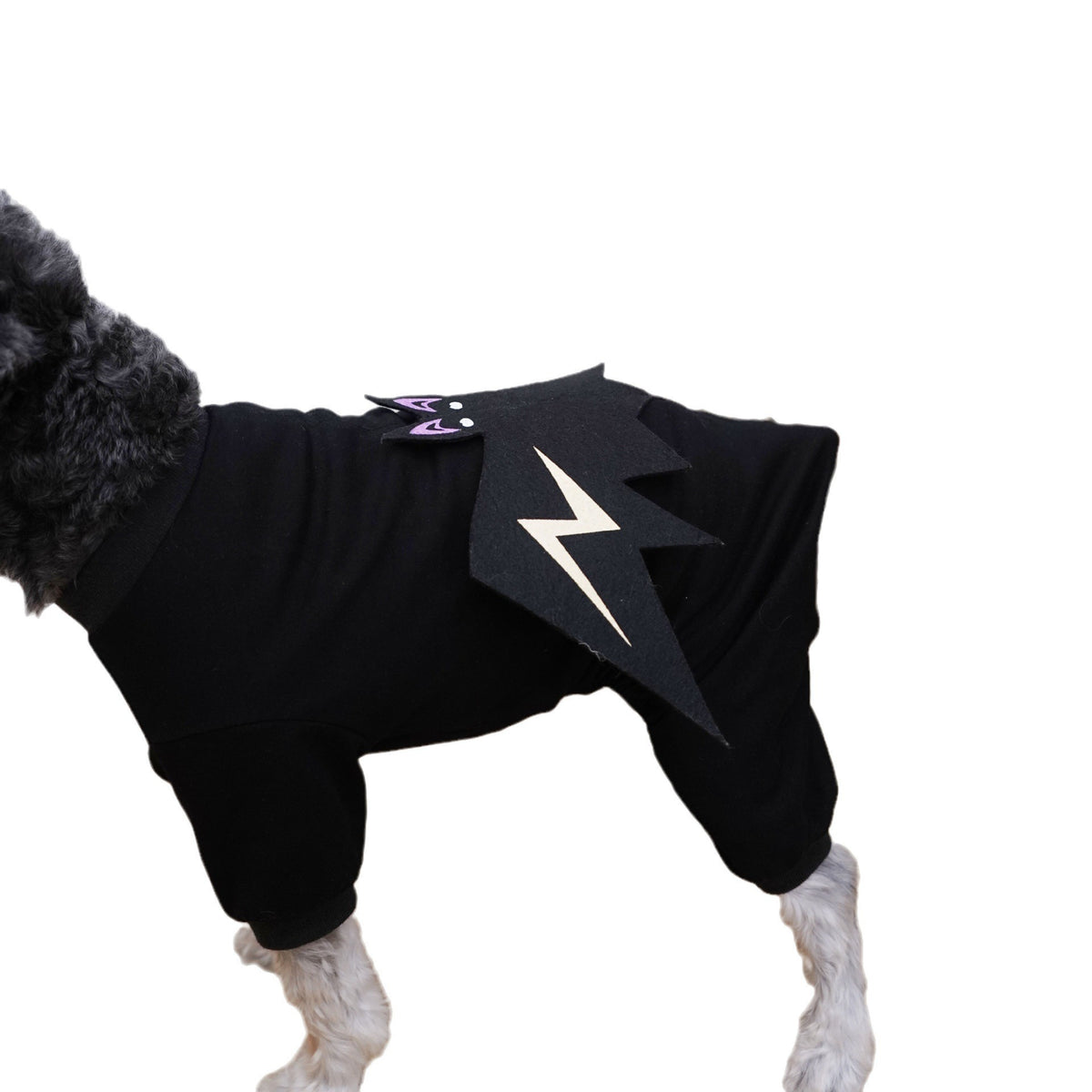 Pet Clothes Halloween 3D Bat Costume Glow-in-the-Dark Four-Legged Transformation Costume