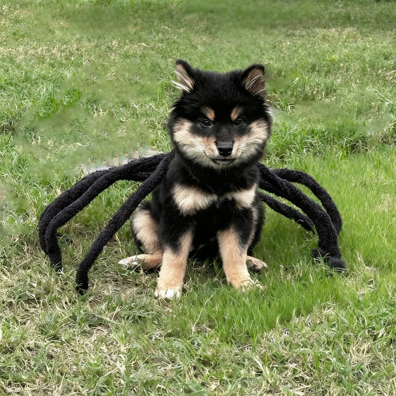 Spider Back Design Pet Halloween Costume – Fits Cats, Small/Medium Dogs & Puppies