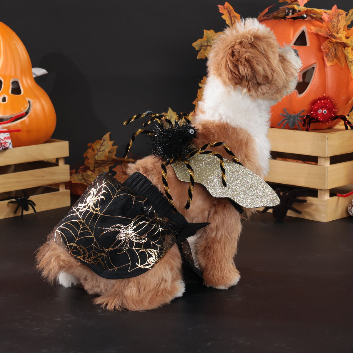 Halloween Pet Dog Costume, Spooky Spider Wings Transformation Dress Set