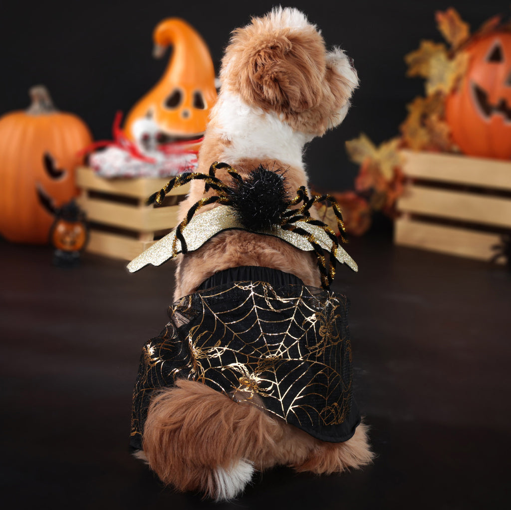 Halloween Pet Dog Costume, Spooky Spider Wings Transformation Dress Set