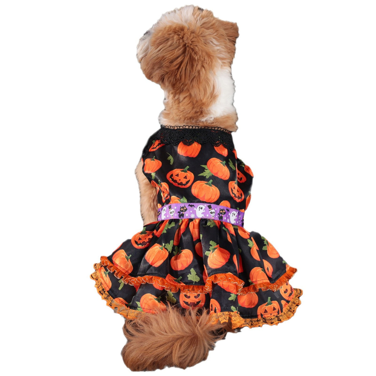 Halloween Pet Dog Dress for Medium and Small Dogs, Pumpkin Lace Skirt