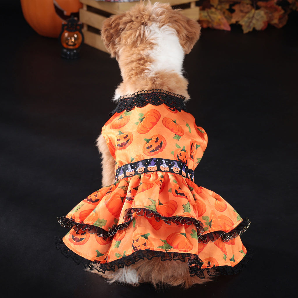 Halloween Pet Dog Dress for Medium and Small Dogs, Pumpkin Lace Skirt