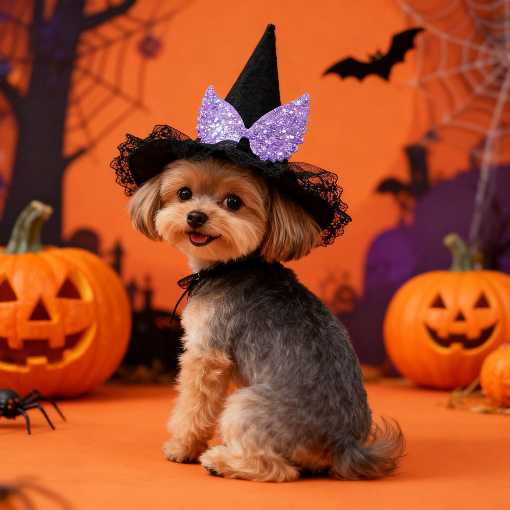 Pet Halloween Hat Creative Pumpkin Devil Spider New Stock  Rabbit Pet Dog