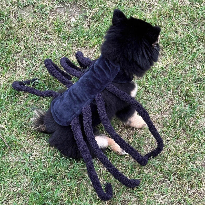 Spider Back Design Pet Halloween Costume – Fits Cats, Small/Medium Dogs & Puppies