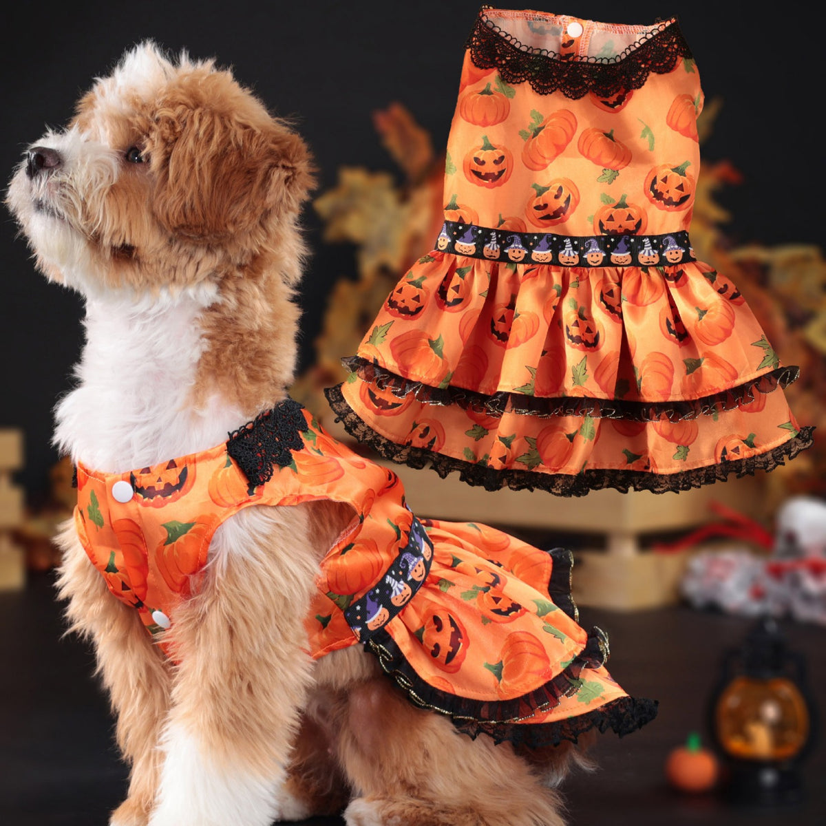 Halloween Pet Dog Dress for Medium and Small Dogs, Pumpkin Lace Skirt