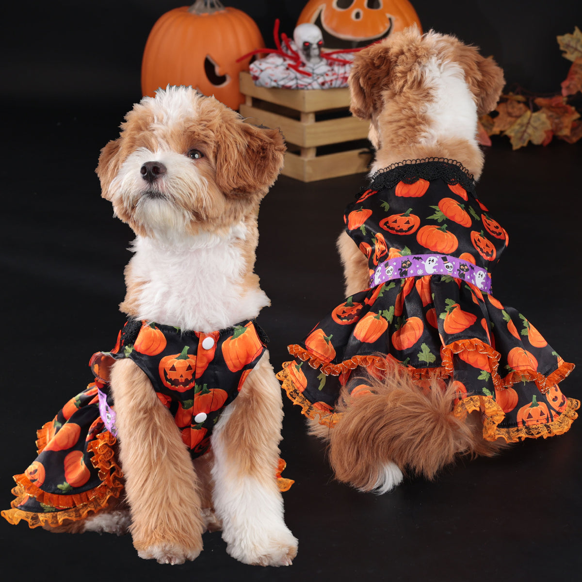 Halloween Pet Dog Dress for Medium and Small Dogs, Pumpkin Lace Skirt