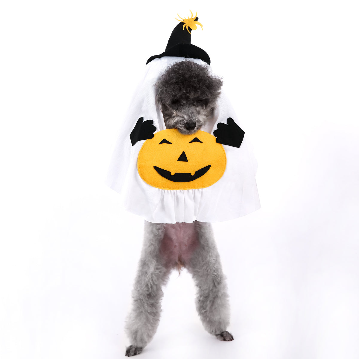 Cute Halloween Pumpkin Wizard Print Pet Costume for Small and Medium Dogs and Cats