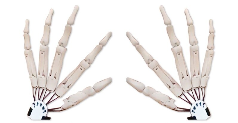 Halloween Articulated Long Fingers Glove